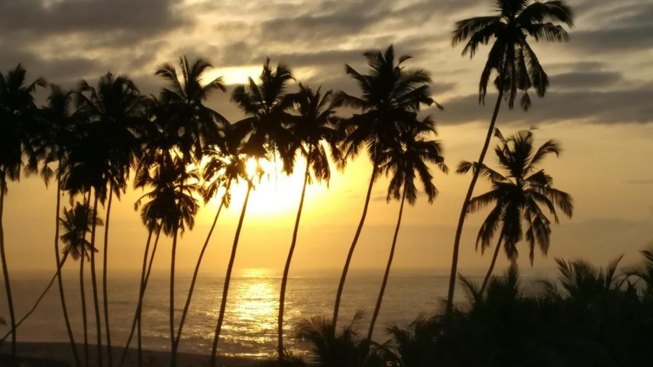 Afiki Hotel Elmina Exterior foto